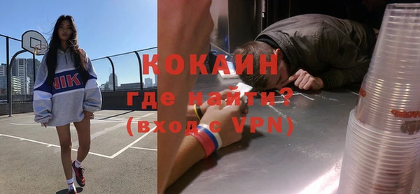 гидра Няндома