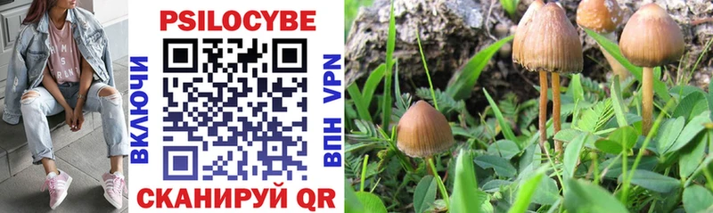 Псилоцибиновые грибы GOLDEN TEACHER Суджа